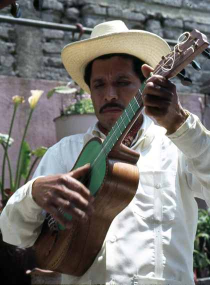Avelino Alvarado Lucas, jaranero, Trío Las Tres Huastecas