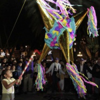 Posada Posada