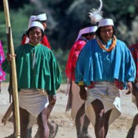 Pueblo indígena: Rarámuri Pueblo indígena: Rarámuri