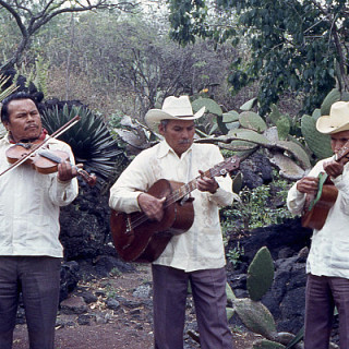 Trío Las Tres Huastecas