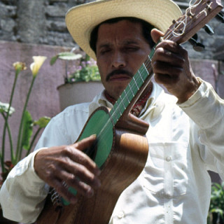 Avelino Alvarado Lucas, jaranero, Trío Las Tres Huastecas