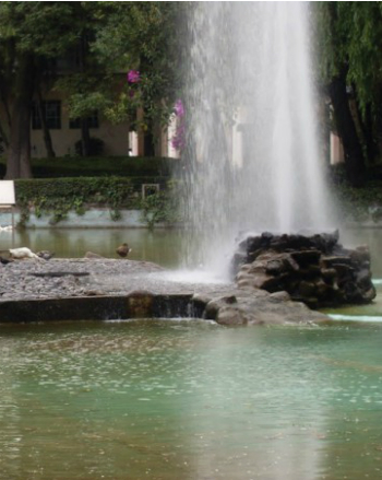 Rodada Sonora al Parque México Rodada Sonora al Parque México